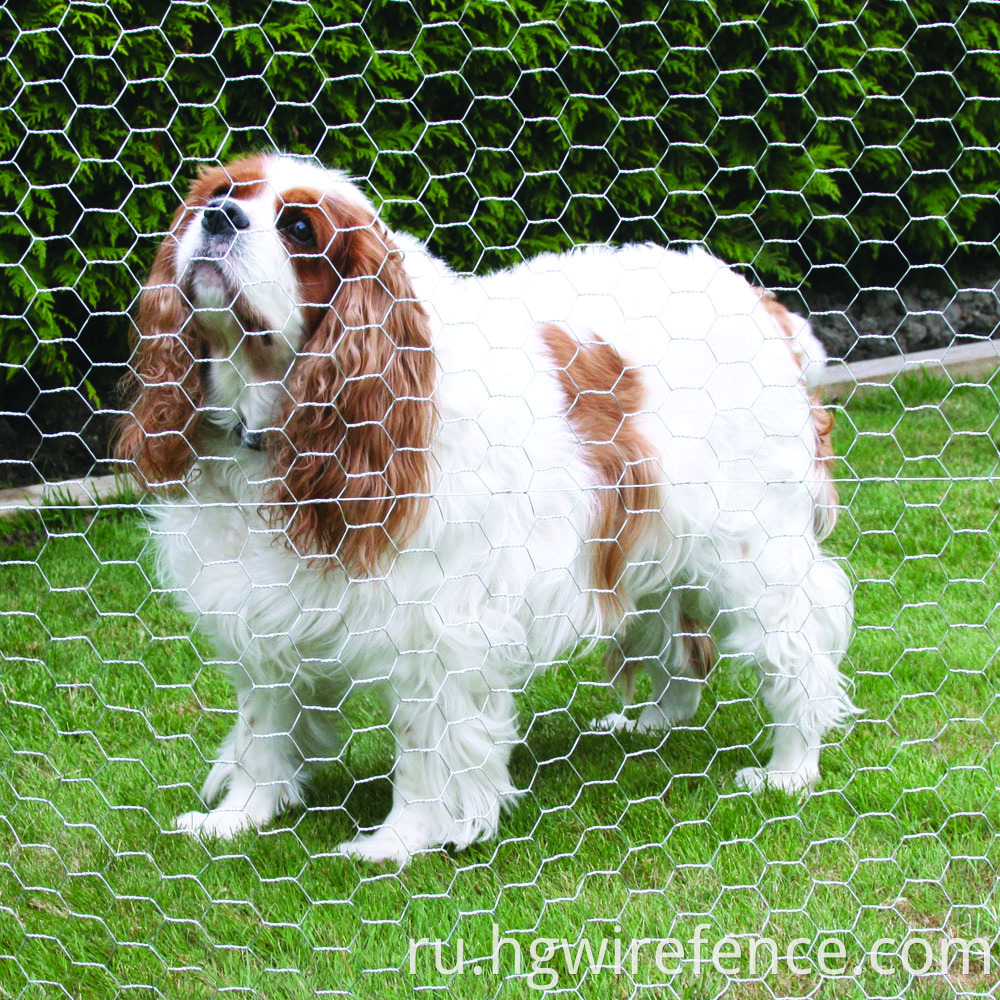  Hexagonal Wire Mesh Chicken Cage